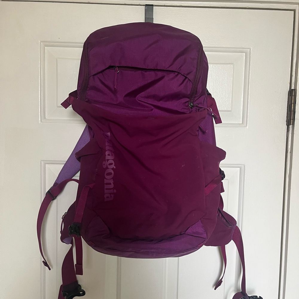 Patagonia Purple Backpack